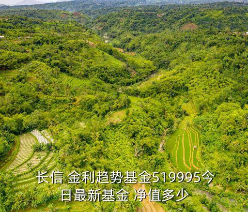  長信 金利趨勢基金519995今日最新基金 凈值多少