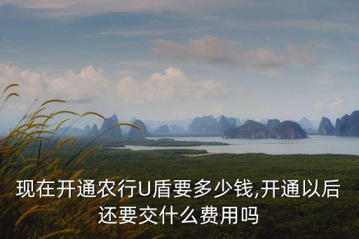 農(nóng)業(yè)銀行k寶要多少錢一克,2023農(nóng)業(yè)銀行黃金多少錢一克啊