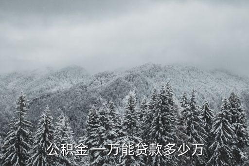 宜興公積金一萬可以貸多少