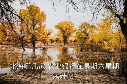 北海有多少間農(nóng)業(yè)銀行,廣西北海農(nóng)業(yè)銀行客服電話