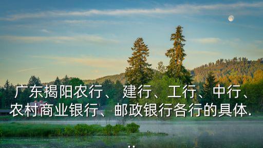 廣東揭陽農(nóng)行、 建行、工行、中行、農(nóng)村商業(yè)銀行、郵政銀行各行的具體...