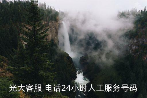 光大銀行天津北辰支行電話多少,中國光大銀行有多少支行