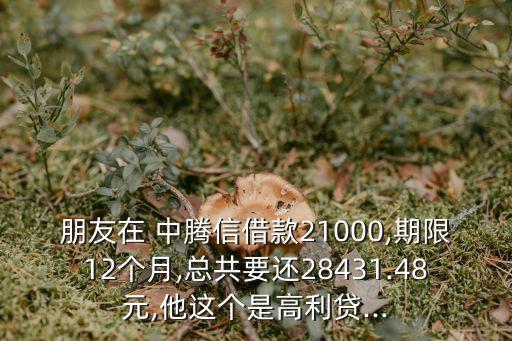 朋友在 中騰信借款21000,期限12個月,總共要還28431.48元,他這個是高利貸...