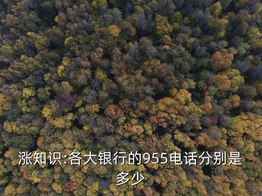 中國建設銀行的電話號碼是多少位