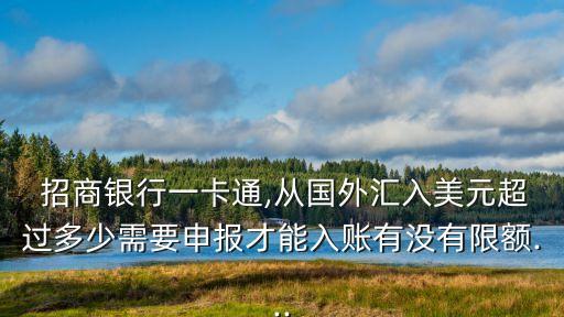 招商境外額度多少錢,招商信用卡境外臨時(shí)額度國(guó)內(nèi)能用嗎