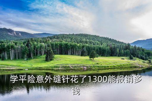 平安學(xué)生意外險(xiǎn)理賠額度是多少