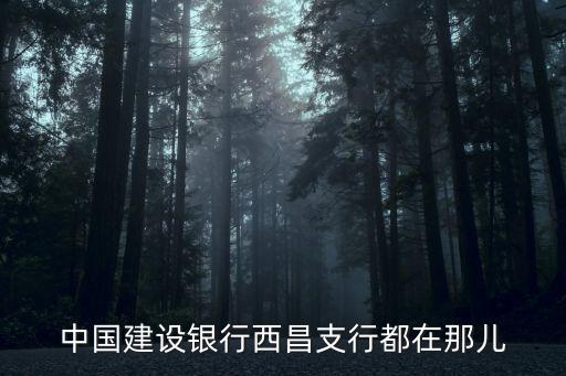 中國建設(shè)銀行西昌支行都在那兒