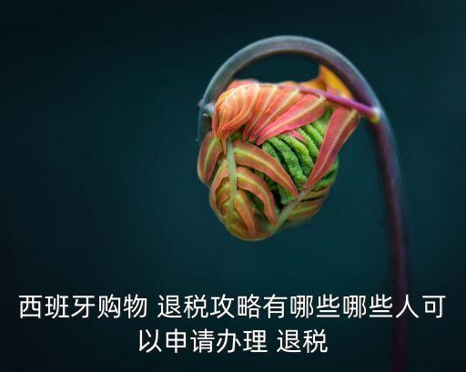 歐洲旅游退稅退多少錢