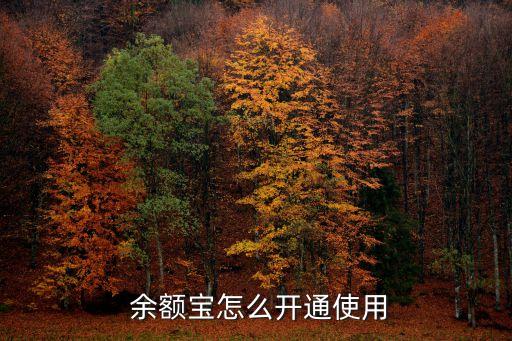 余額寶帳號(hào)多少開頭,如何申請(qǐng)余額寶帳號(hào)