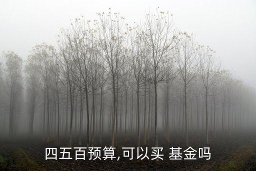股票型基金多少錢可以買入,股票星期幾買入最好