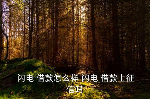  閃電 借款怎么樣 閃電 借款上征信嗎