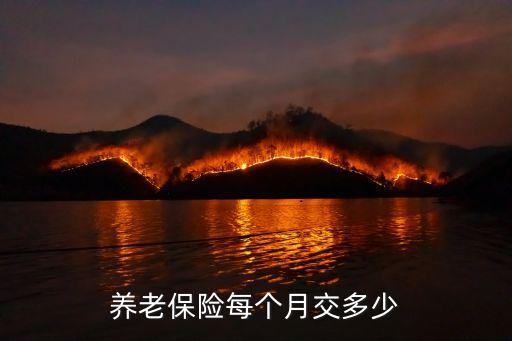 養(yǎng)老保險(xiǎn)每個(gè)月交多少