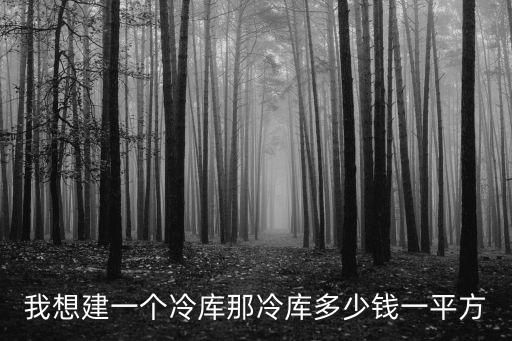我想建一個(gè)冷庫(kù)那冷庫(kù)多少錢(qián)一平方