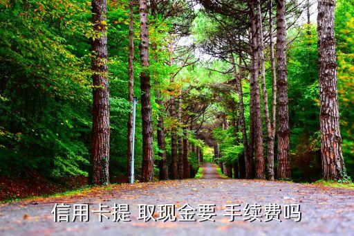 招商銀行金卡韓國(guó)取現(xiàn)手續(xù)費(fèi)多少