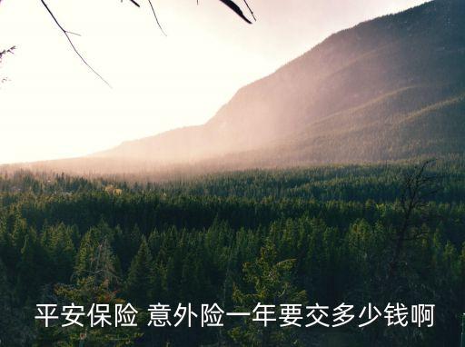  平安保險 意外險一年要交多少錢啊