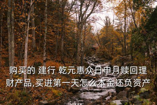 購買的 建行 乾元惠眾日申月贖回理財(cái)產(chǎn)品,買進(jìn)第一天怎么本金還負(fù)資產(chǎn)...