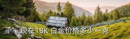 18k白金多少錢一克現(xiàn)價(jià)