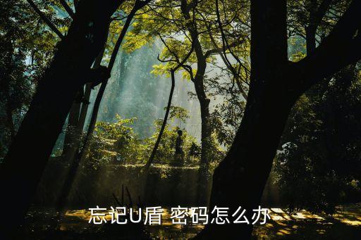 交通銀行默認(rèn)u盾密碼多少