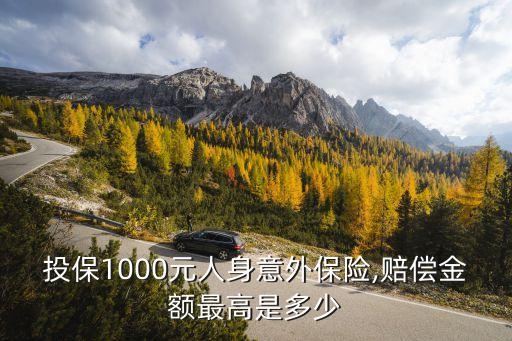 投保1000元人身意外保險,賠償金額最高是多少