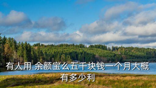 有人用 余額寶么五千塊錢一個(gè)月大概有多少利