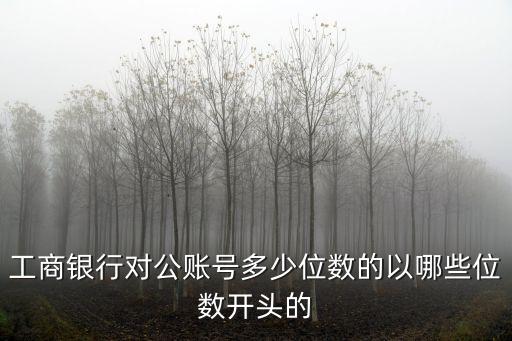 工商銀行對公賬號多少位數(shù)的以哪些位數(shù)開頭的