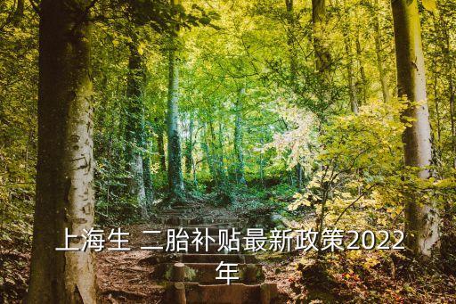  上海生 二胎補貼最新政策2022年