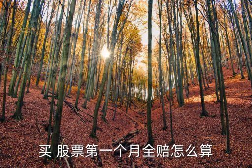 買 股票第一個月全賠怎么算