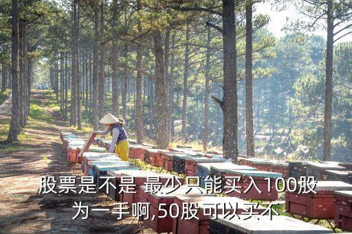最少買(mǎi)多少股票,股票開(kāi)戶(hù)要錢(qián)嗎?最少買(mǎi)多少股票