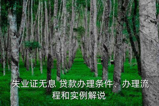  失業(yè)證無息 貸款辦理條件、辦理流程和實例解說