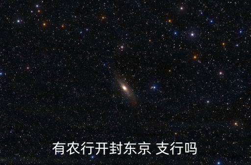 有農(nóng)行開封東京 支行嗎