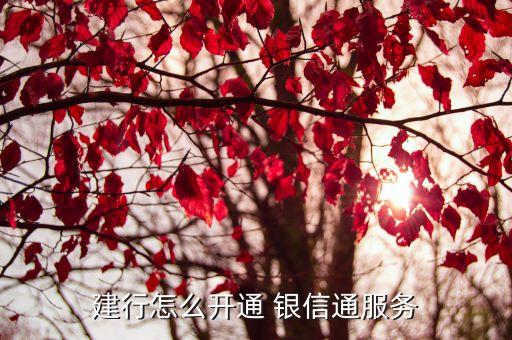 寧夏銀信公司電話號碼是多少錢,寧夏公司電話號碼大全