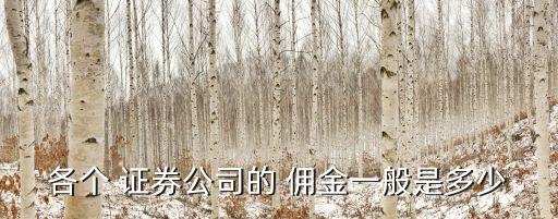 各個(gè) 證券公司的 傭金一般是多少