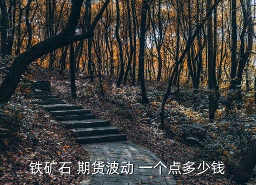 期貨一個點是多少,期貨主力合約是什么意思?