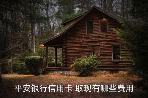 平安銀行信用卡 取現(xiàn)有哪些費(fèi)用