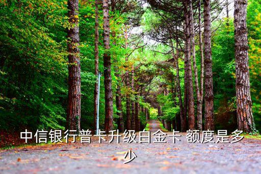  中信銀行普卡升級白金卡 額度是多少