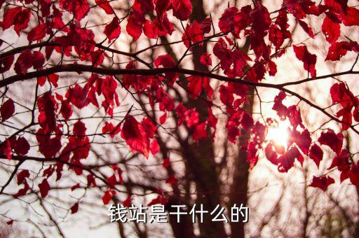 錢站是干什么的