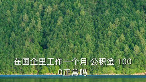 在國企里工作一個月 公積金 1000正常嗎
