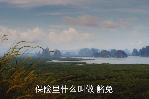 保險里什么叫做 豁免