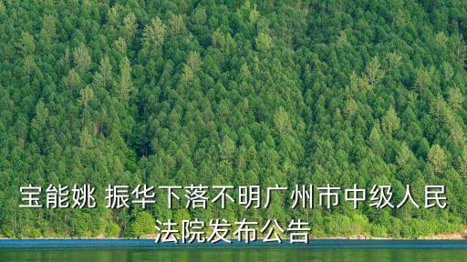 寶能姚 振華下落不明廣州市中級人民法院發(fā)布公告