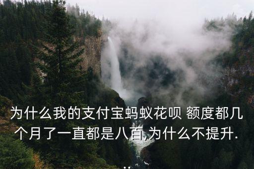 為什么我的支付寶螞蟻花唄 額度都幾個月了一直都是八百,為什么不提升...