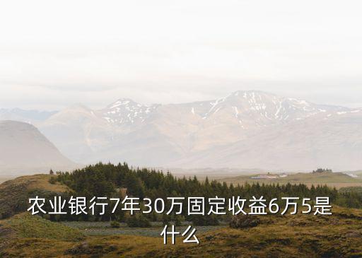 農業(yè)銀行7年30萬固定收益6萬5是什么
