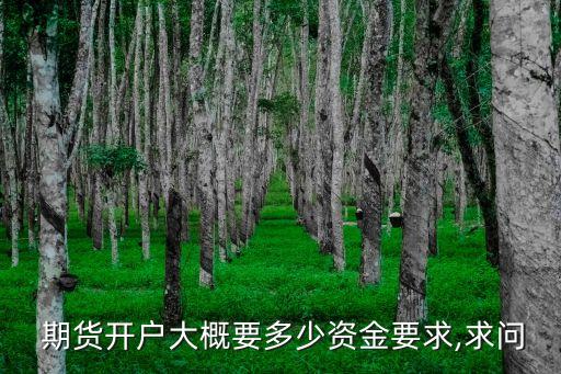 開(kāi)個(gè)期貨分公司需要多少錢