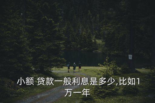小額貸款利潤(rùn)多少錢