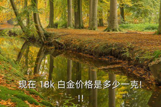 現(xiàn)在 18k 白金價(jià)格是多少一克!!!