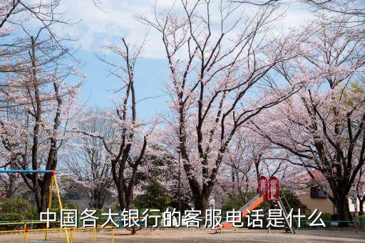 中國各大銀行的客服電話是什么