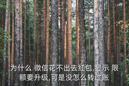 微信明天限額能轉(zhuǎn)多少,微信限額明天會恢復(fù)正常嗎?