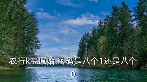 農(nóng)行k寶原始 密碼是八個1還是八個0