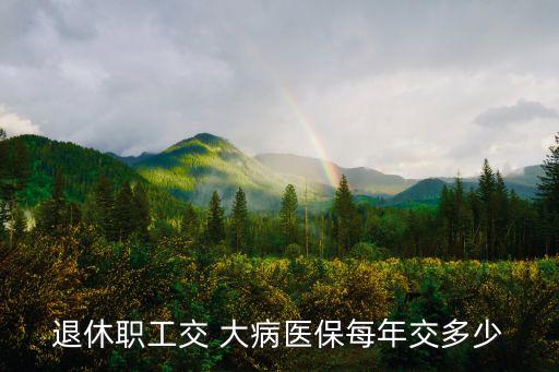大病險(xiǎn)一年交多少錢(qián),單位交的大病險(xiǎn)一年多少錢(qián)?