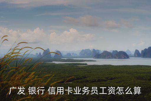 廣發(fā) 銀行 信用卡業(yè)務(wù)員工資怎么算