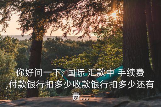 你好問一下, 國際 匯款中 手續(xù)費,付款銀行扣多少收款銀行扣多少還有費...